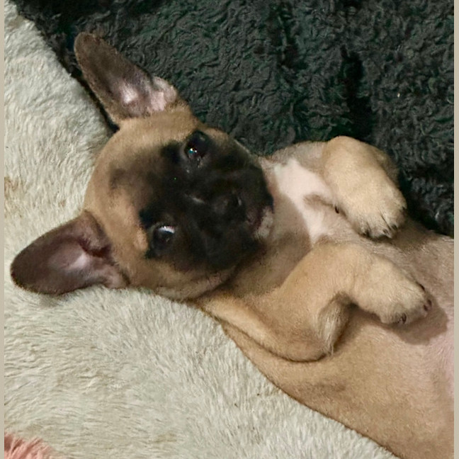 Photo of Kai 🧸
