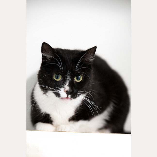 Photo of Molly
