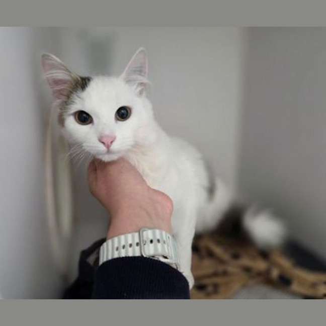 Photo of Tilly