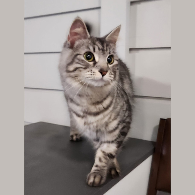 Photo of Sylvia