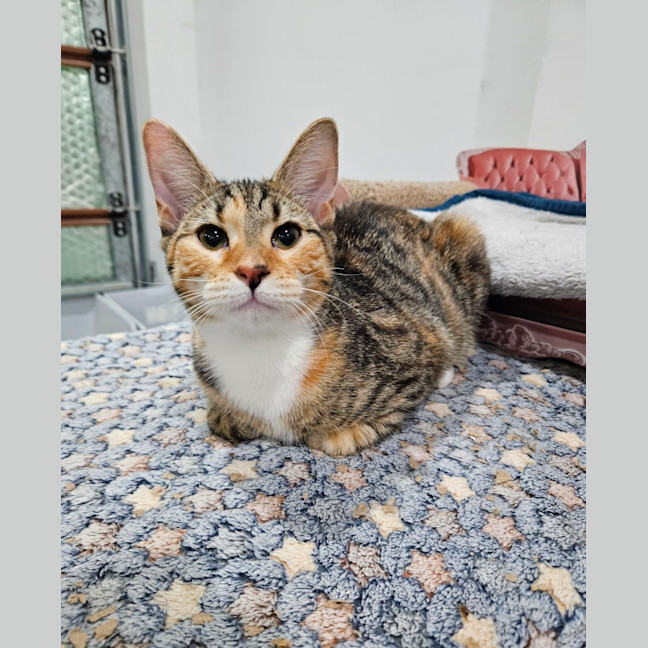 Photo of Pretty Girl