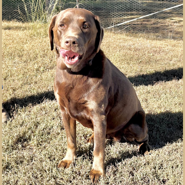 Photo of Maizie