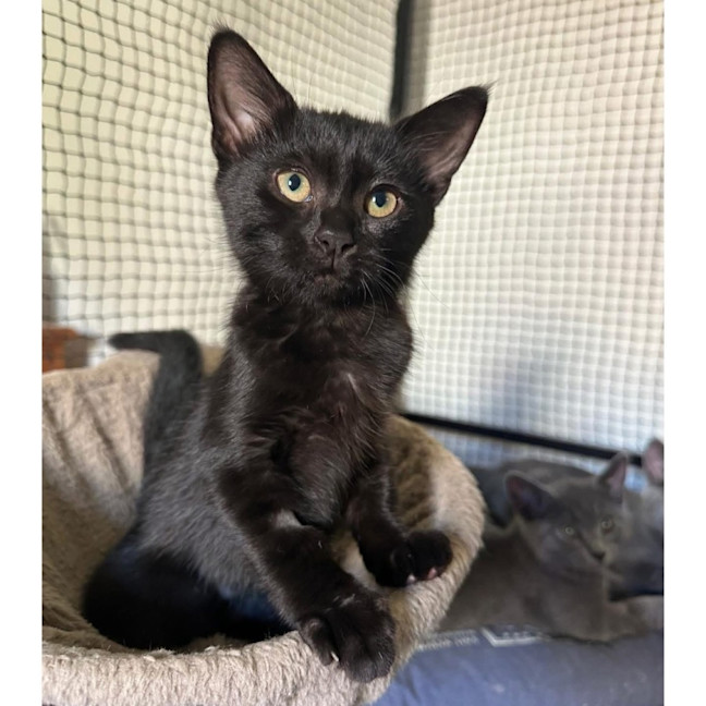 Photo of 13658   Marceline The Vampire Queen 