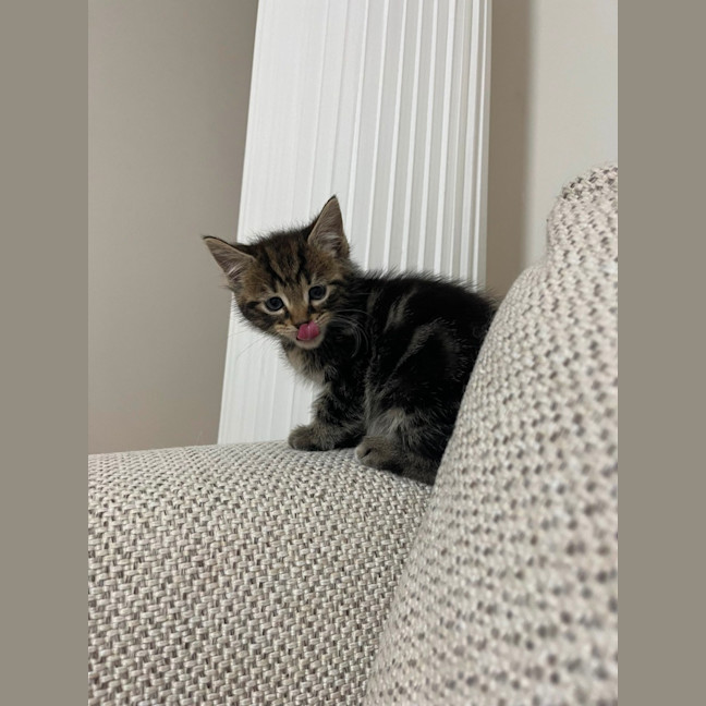 Photo of Marvin