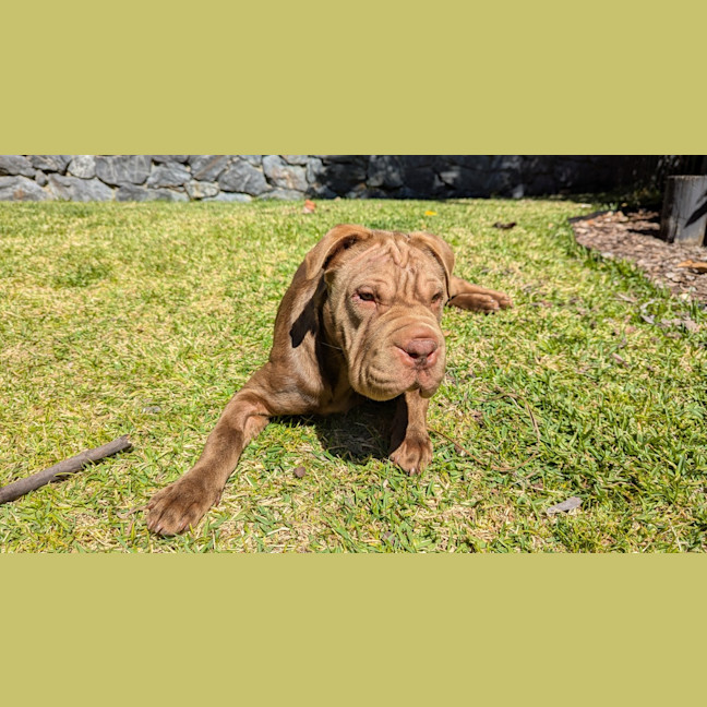 Photo of Delta