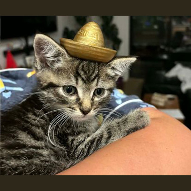 Photo of Elchi