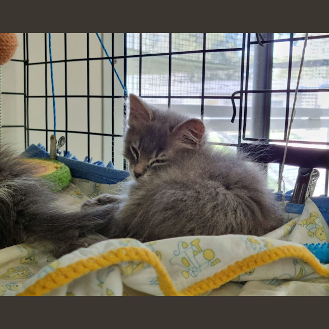 Photo of Bennie & The Jets