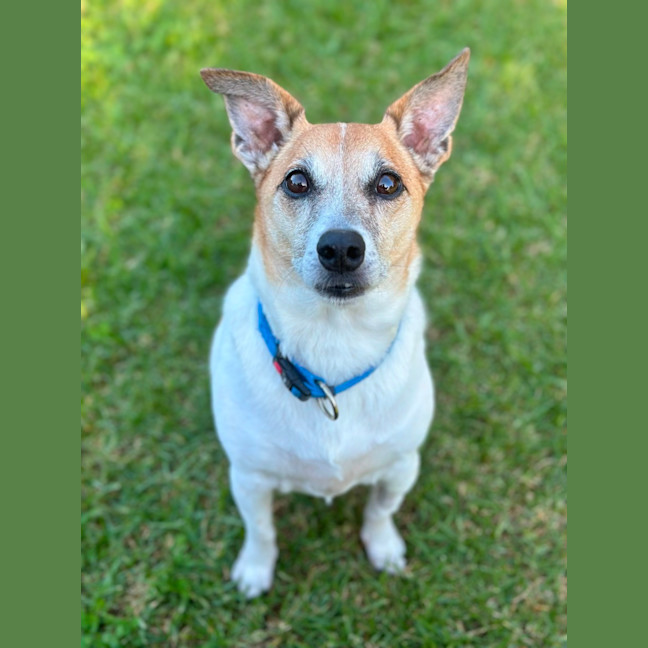 Photo of Sam