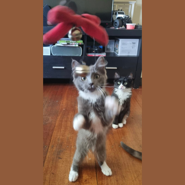 Photo of Llewelyn (Lou)