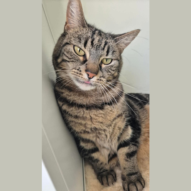 Photo of Zeus