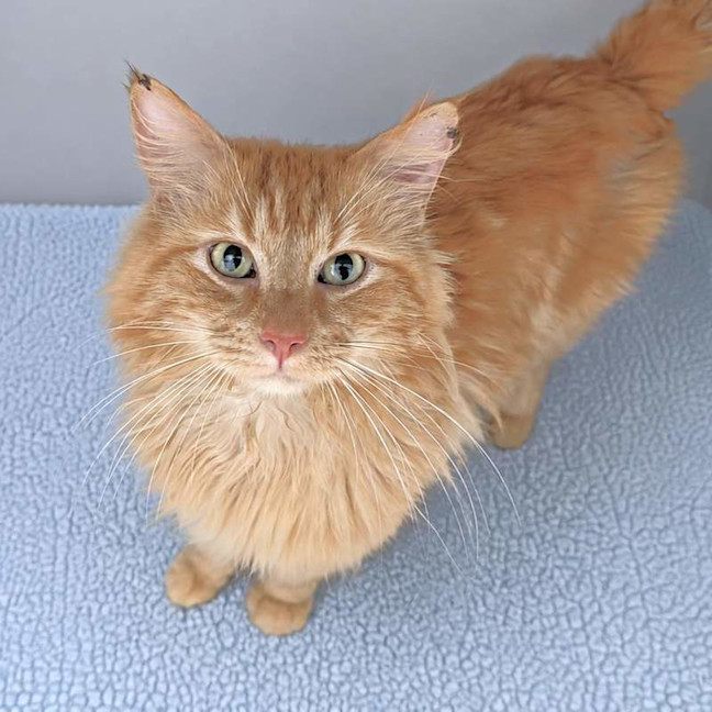 Photo of Astro