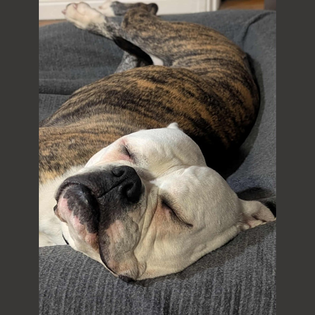 Photo of Bettina