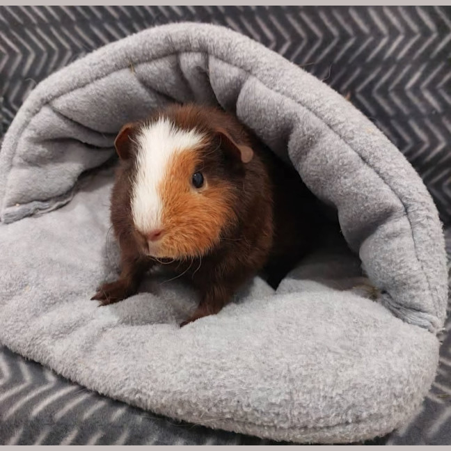 Photo of Lil