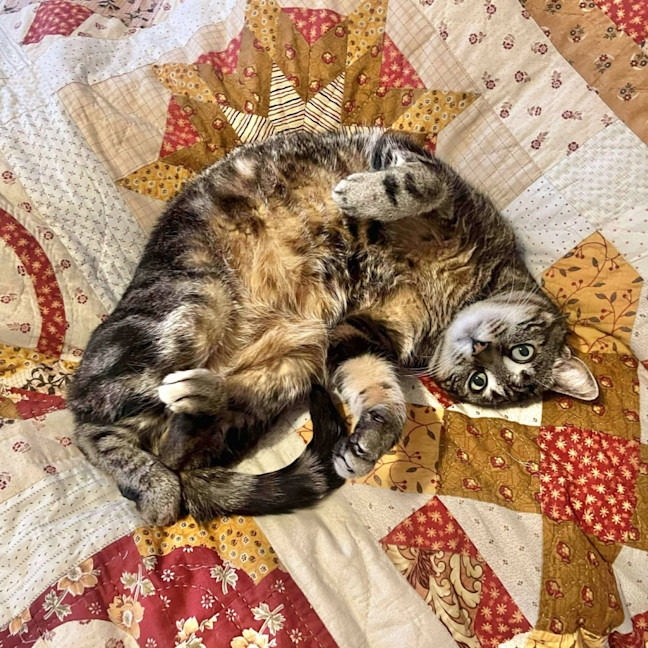 Photo of Fred And George