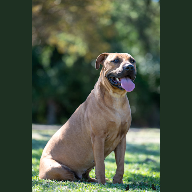 Photo of Shayla