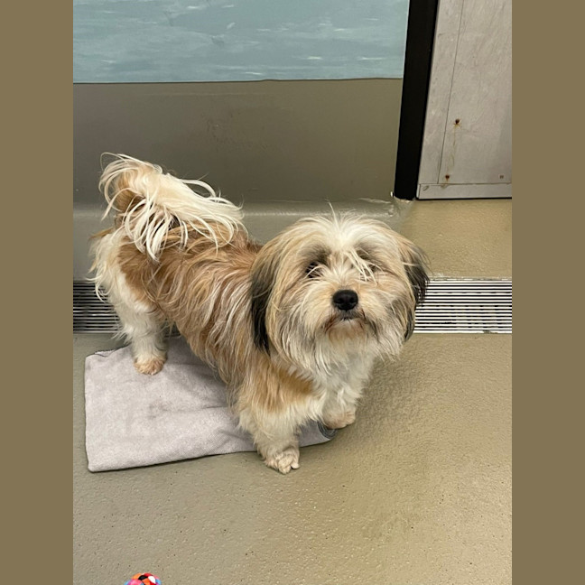 Photo of Flopsy And Mopsy 