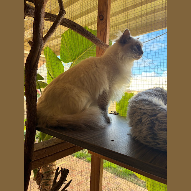 Photo of Casper