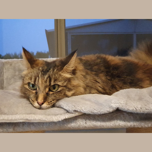 Photo of Nina O’cleary