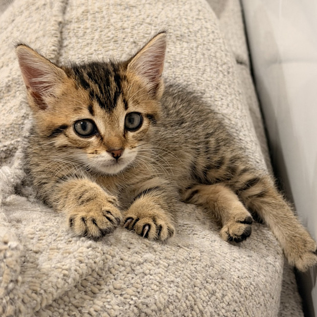 Photo of Milly