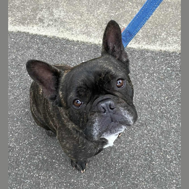 Photo of Vintage Wensleydale