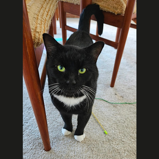 Photo of Edwin