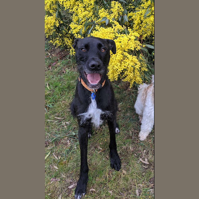Photo of Betty