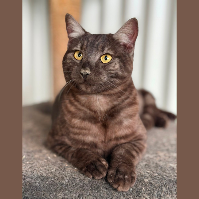 Photo of Owen