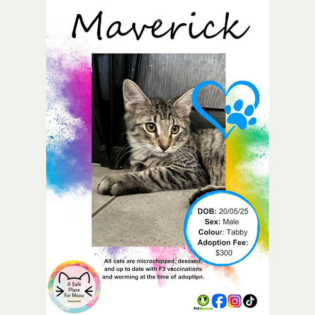 Photo of Maverick