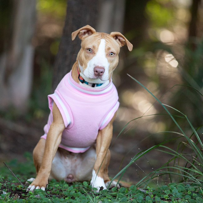 Photo of Bonnie