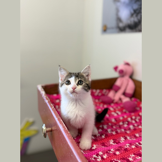 Photo of Gia
