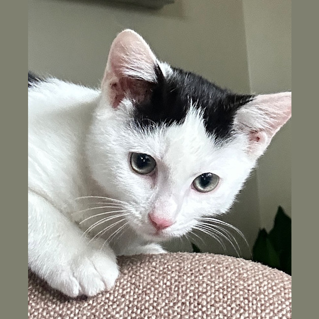 Photo of Mickey