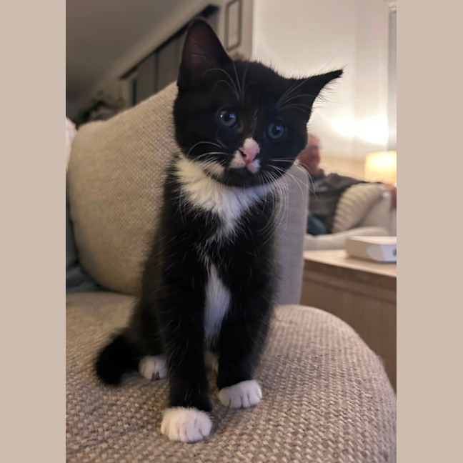 Photo of Peggy