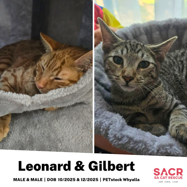 Photo of Leonard & Gilbert