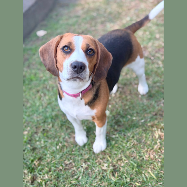 Photo of Kiki