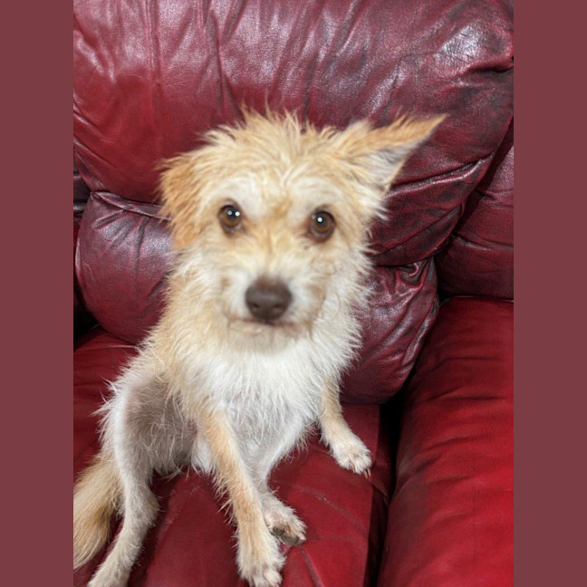 Photo of Buster Bulleau