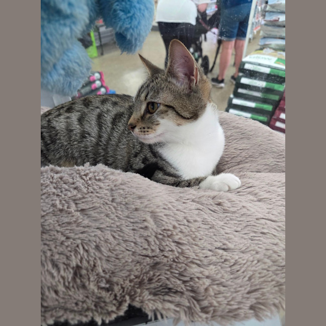 Photo of Martha   Loves Children