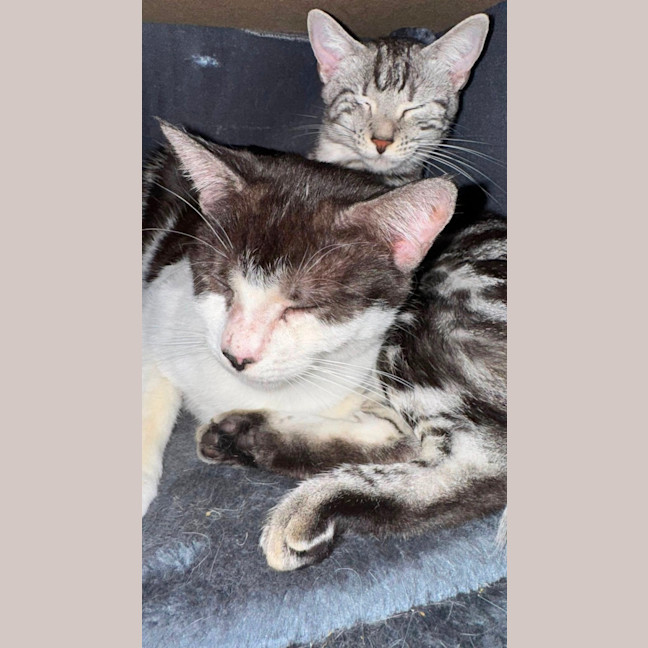 Photo of Tommy And Alice