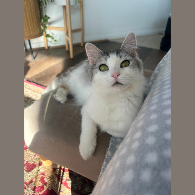 Photo of Hattie