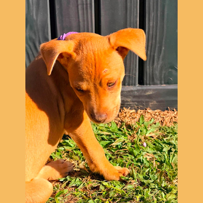 Photo of Doris