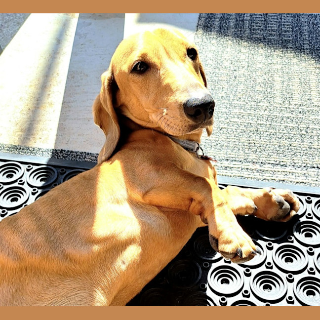 Photo of Eddie