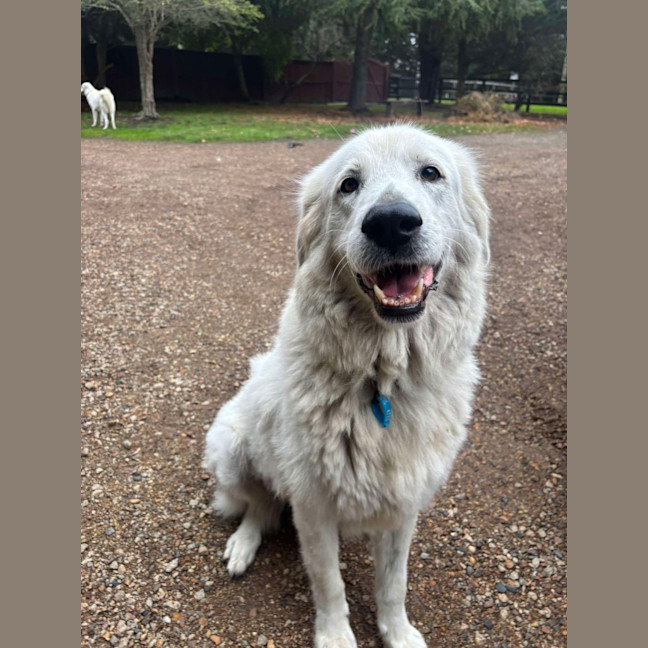 Photo of Nellie