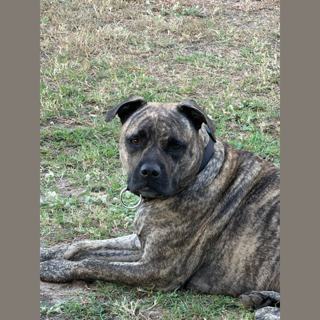 Photo of Leia