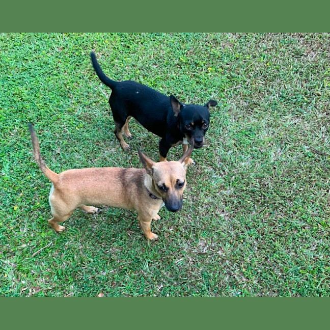 Photo of Norman & Hilda 