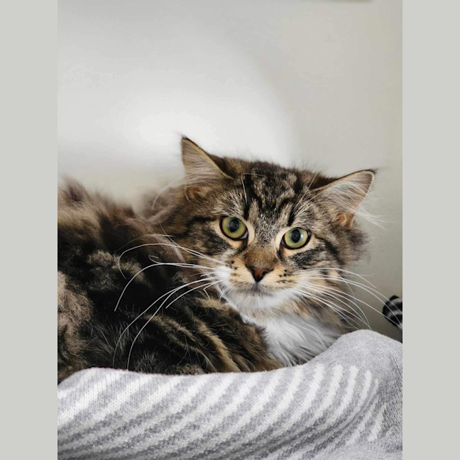 Photo of 🥼 Jesse 5511 🥼