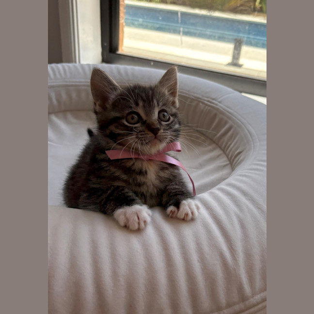 Photo of Minnie