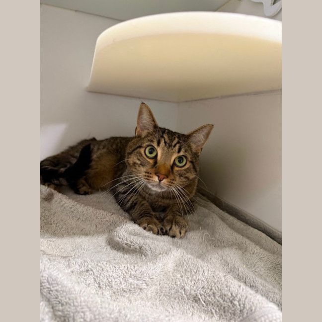 Photo of 🏵️ Fred 7627 🏵️