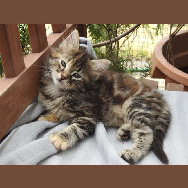 Photo of Elsa