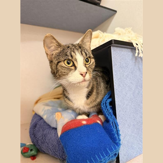 Photo of Phoebe