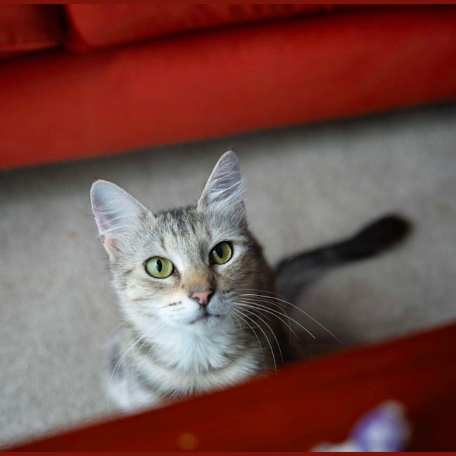 Photo of Blondie 🩷 