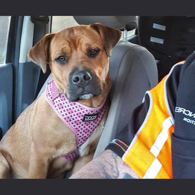 Photo of Skye Peggotty